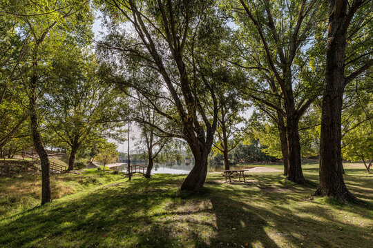Installations among the trees at the Cional river beach, Valpara&iacute;so Reservoir, Zamora, Spain.