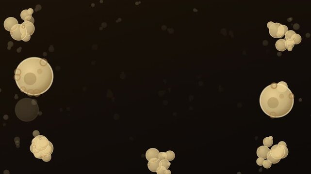 Yeast cells multiplying and forming buds seamless loop