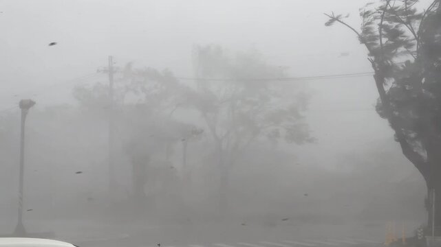 Violent Hurricane Winds And Driving Rain Batter Trees During Landfall