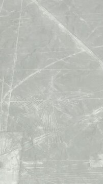 ナスカの地上絵 セスナ 空撮 ペルー