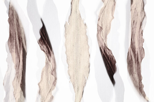 Dried leaf arrangement on white background with organic texture