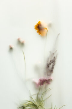 Dreamy pastel flower border with soft focus