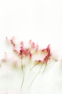 Soft focus pink flower border with pastel background
