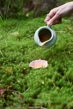 Chinese tea ceremony with tea poured onto forest moss