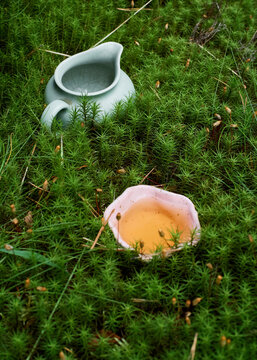 Chinese tea ceremony pitcher and cup nestled in moss