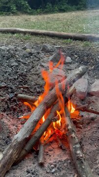 Person Adding Firewood to a Burning Campfire. Close-up view of a person adding dry wood to a burning campfire outdoors. Bright orange flames rise around the logs at a rustic campsite. 