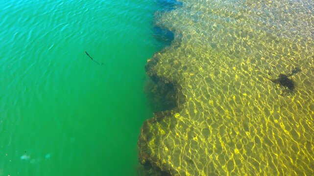 The water reveals artificial indentations in the bank's soil, designed for the mooring of fishing vessels.