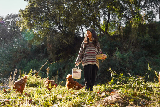 Woman farmer feeding chicken on organic countryside farm