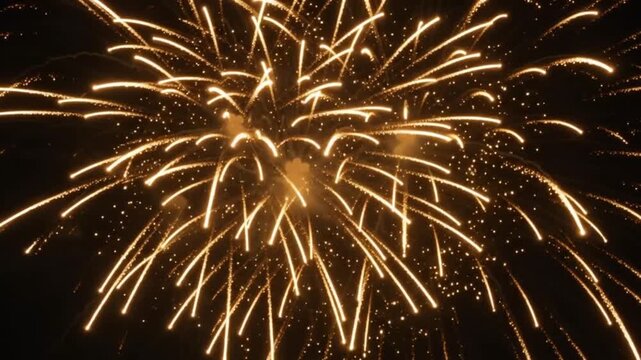 Cinematic golden fireworks explosion animation with glowing light streaks on black background.