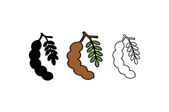  Tamarind-Logo Design Set With Colorful, Outline, And Black Pod Fruit Icons
