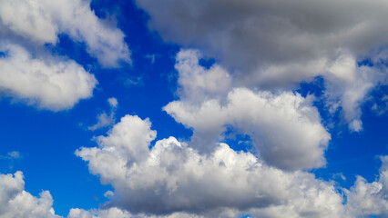 Fototapeta premium fluffy cumulus and dark rain clouds against a blue sky on a clear summer afternoon