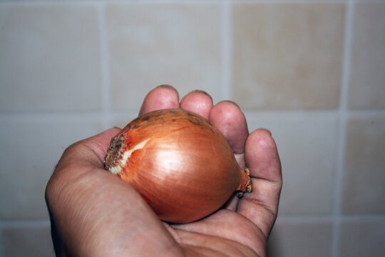 A hand holds a single whole brown onion with smooth golden-brown papery skin, dried roots, and a rounded shape against a softly blurred background.
