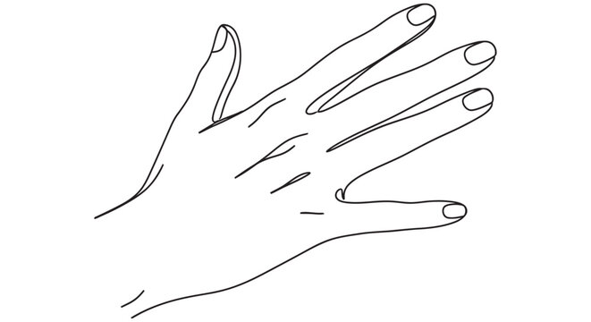 Open human hand line drawing on a white background simple sketch style