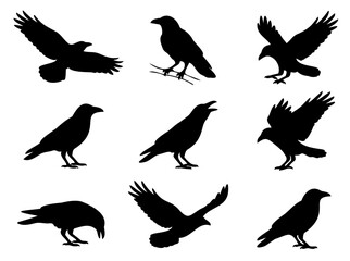 Obraz premium flying crow birds wildlife silhouette vector icon set, black crow birds flying wildlife silhouette vector set