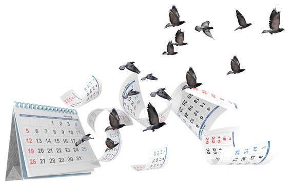 calendar pages flying  birds pigeon leaving life death memory - 3d rendering