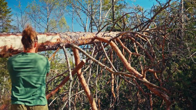 A man uses an axe on a fallen or leaning tree trunk in a rural Norwegian outdoor setting