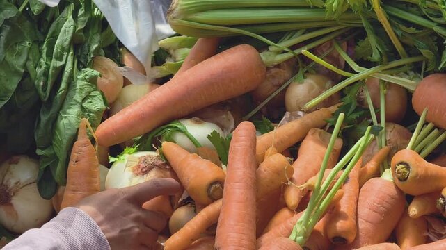 Close-up of a customer selecting fresh carrots while plastic bags are handed over at a traditional market in Phu Yen, Vietnam