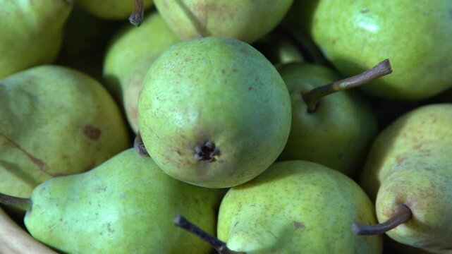 Pears Fruit Food Background. Green pear closeup.