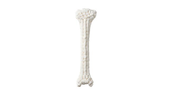 Christmas Human Body Part Human tibia bone shape made of white mini marshmallows isolated on a white background, creative food art sculpture, conceptual health design