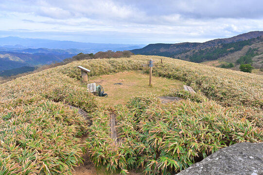 伊豆半島の伊豆山稜線歩道　熊笹に囲まれた仁科峠展望台
