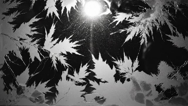 Black and white view of a foggy, sunlit, frosted window with decorative leaf patterns and subtle sound effects