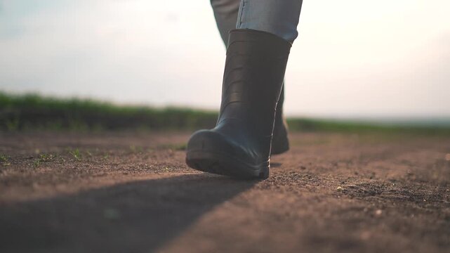 Farmer legs in motion wearing rubber boots walk over dusty soil. Man steps forward on rural road. Outdoor path stretches near farmland. Boots touch dry ground as dirt road fades in distance.