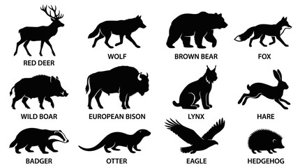 Fototapeta premium Animal silhouettes set featuring various wild mammals and birds with labels in white background