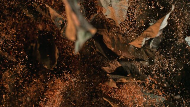 Super Slow Motion Shot of Tobacco and Dried Tobacco Leaves Flying Towards Camera at 1000fps.