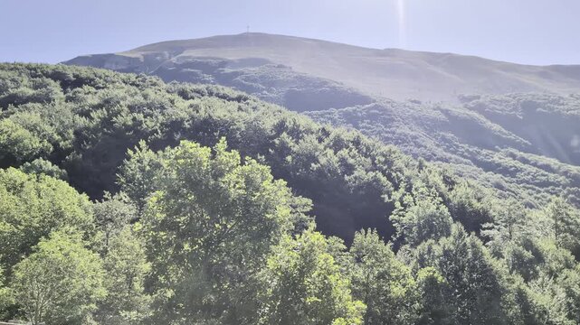 Ampia veduta panoramica di una montagna dominata da una fitta foresta verde che si estende fino alle pendici della vetta arida