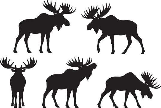 moose and elk silhouettes set different active poses vector illustration.