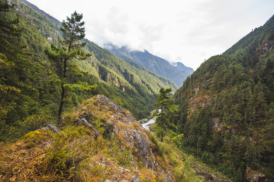 Forest and Dudh Koshi river valley, Himalayan mountains in Nepal