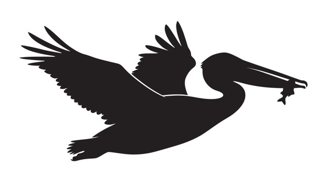 Flying pelican with fish in beak black silhouette