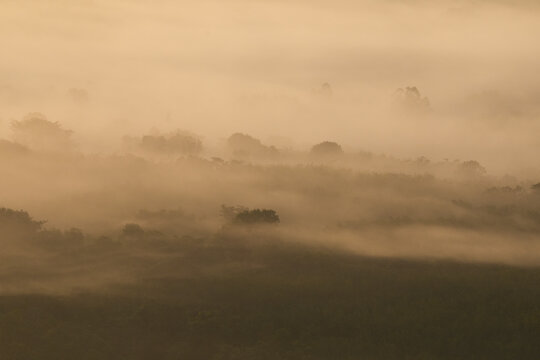 The sunrise of Mountain temple Tree Rock Whale in bungkan Thail