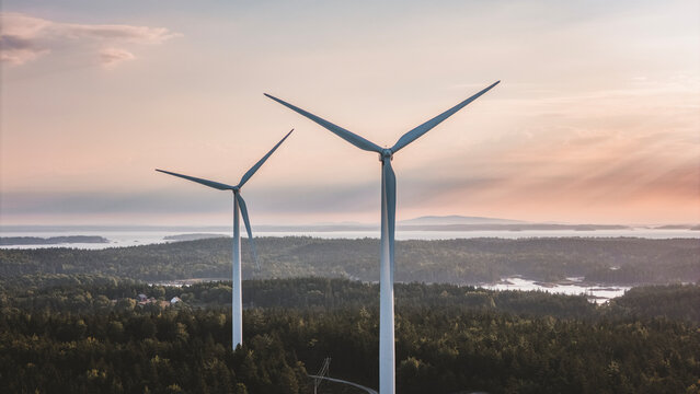 Two wind turbines standing over coastal forest at sunset