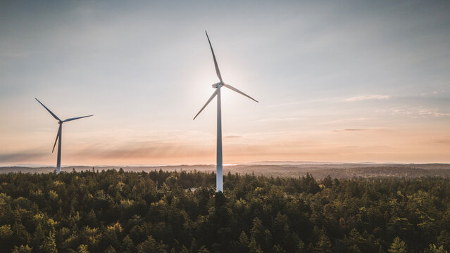 Two wind turbines standing above a dense forest at sunset