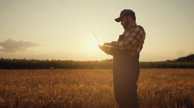 Professional agronomist standing with laptop in golden wheat field in summer. Innovative technology for agribusiness and eco-farming, sustainable agriculture and agronomy, ecologist in farmland