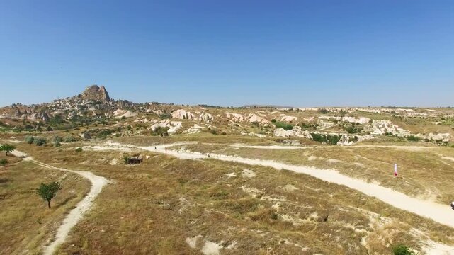 cappadocia landscape with tree 5