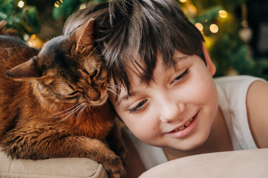 Kid boy teanager 12-years old with his pet red fluffy cat nearby decorated christmas tree closeup portrait somali breed cats
on the xmas hollidays at cozy home indoors lifestyle headshot