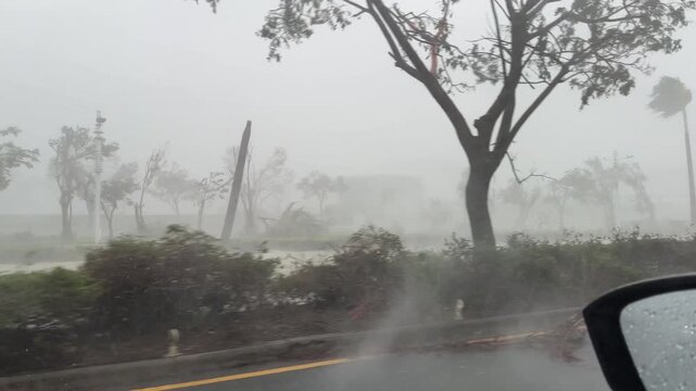 Trees Bend In Ferocious Winds As Hurricane Lashes City