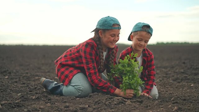 Children kneeling in field planting green bush. Girl leads planting. Boy supports soil roots. Child gardening practice. Helping each other. Nature grows with soil. Gardening helps nature thrive.