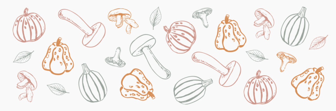 Autumn collection featuring ornamental gourds, pumpkins, mushrooms and leaves in a vintage botanical illustration style.