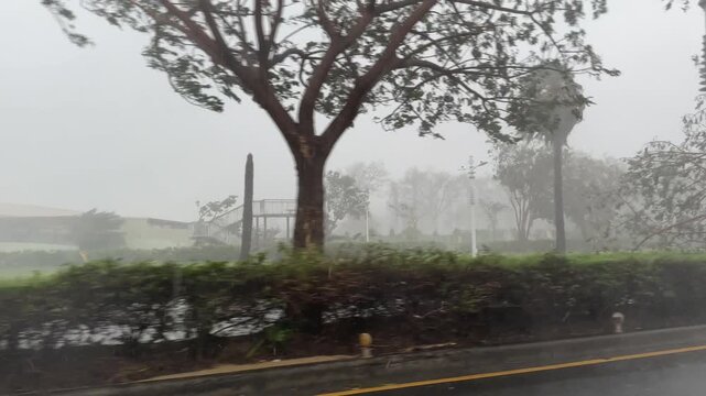 Torrential Rain And Hurricane Force Winds Sweep Through Urban Area
