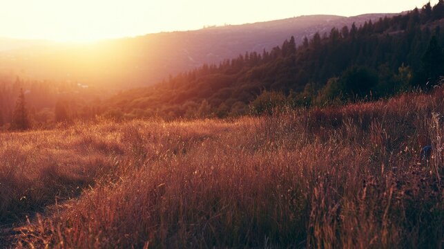 Serene Sunset Over Rolling Hills with Golden Grass and Lush Green Forests Under a Warm Orange Sky in a Quiet Valley Landscape