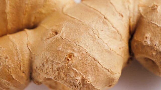 Fresh ginger root on a white background. Close up of natural ginger rhizome used as a healthy ingredient for cooking herbal tea traditional remedies and organic nutrition. High quality 4k footage