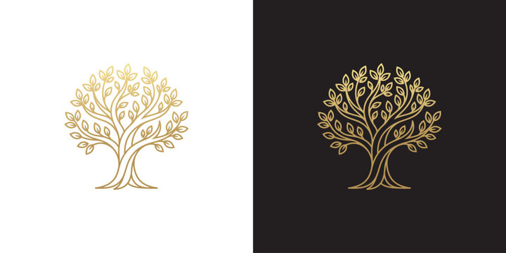Elegant Gold Olive Tree Line Art Illustration Set for Luxurious Branding and Organic Decorative Design Elements