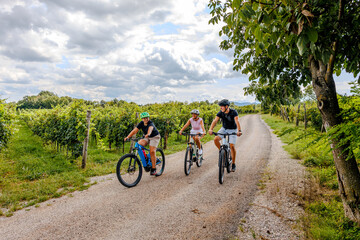 Obraz premium Family Cycling Through Vineyards on Scenic Country Road