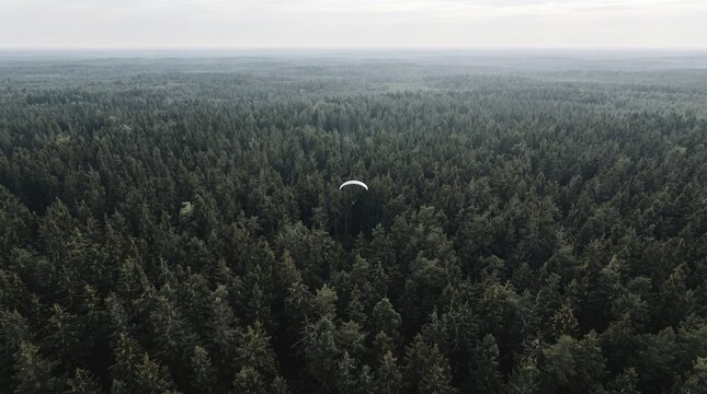 Paraglider over forest 