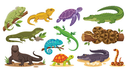 Fototapeta premium Set of flat vector reptile and amphibian illustrations featuring colorful lizards snakes crocodiles turtles chameleons and wild exotic animals