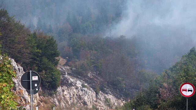 Smoke drifts through a mountain forest after a wildfire, covering burned vegetation, scorched trees and rocky terrain near a roadside with traffic signs.
