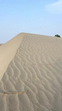 Stunning golden sand dunes in the vast desert landscape